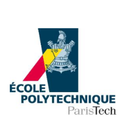 Yves DEMAY Directeur général de l'École polytechnique